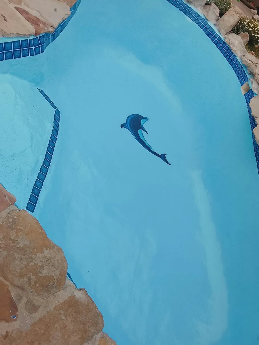A clear blue pool with mosaic tile edges and a dolphin tile on the floor